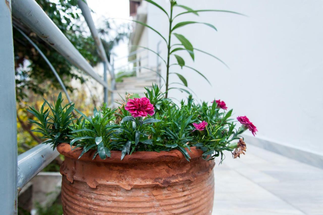 Stephany Apartment Athens Luaran gambar